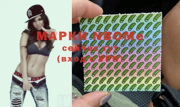 гидропоника Алзамай
