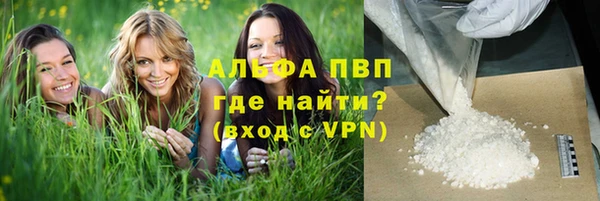гидропоника Алзамай