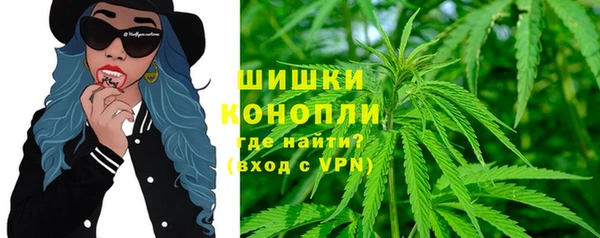 гидропоника Алзамай