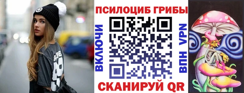 Псилоцибиновые грибы Psilocybe  Сасово 